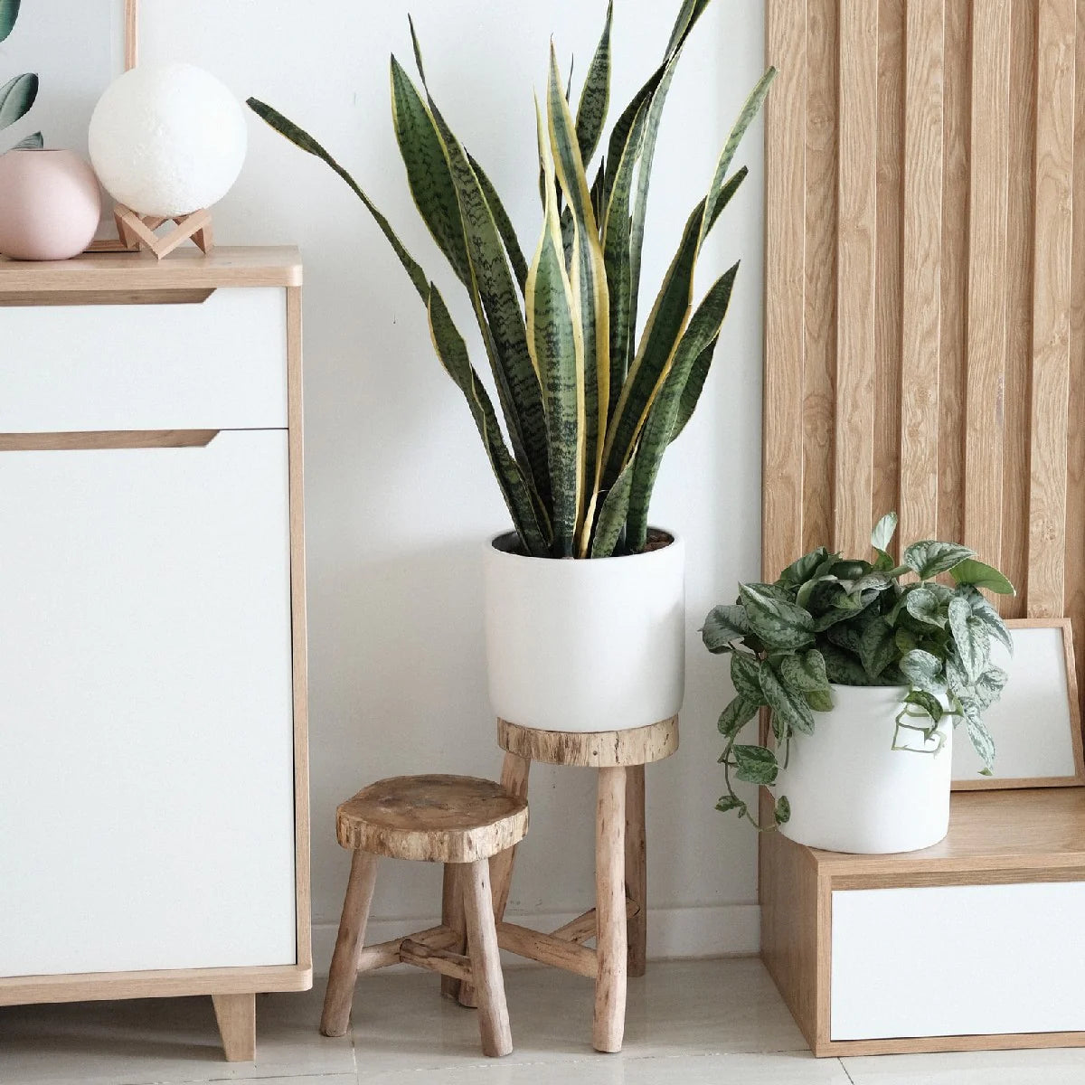 Decoration products