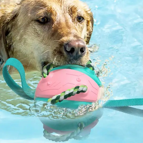 Interaktiv frisbee-ball hundeleke
