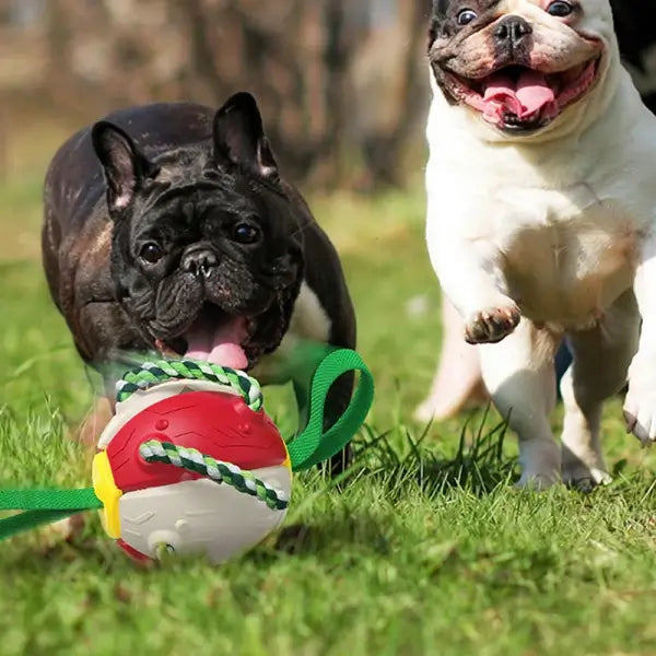 Interaktiv frisbee-ball hundeleke