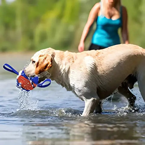 Interaktiv frisbee-ball hundeleke