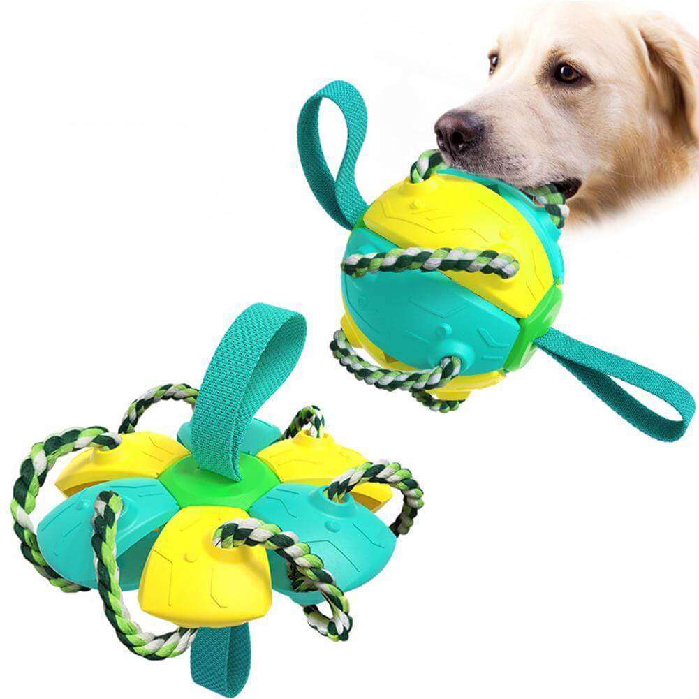 Interaktiv frisbee-ball hundeleke