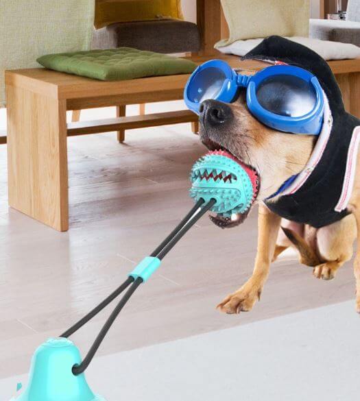 Interaktiv tyggeleke for hund