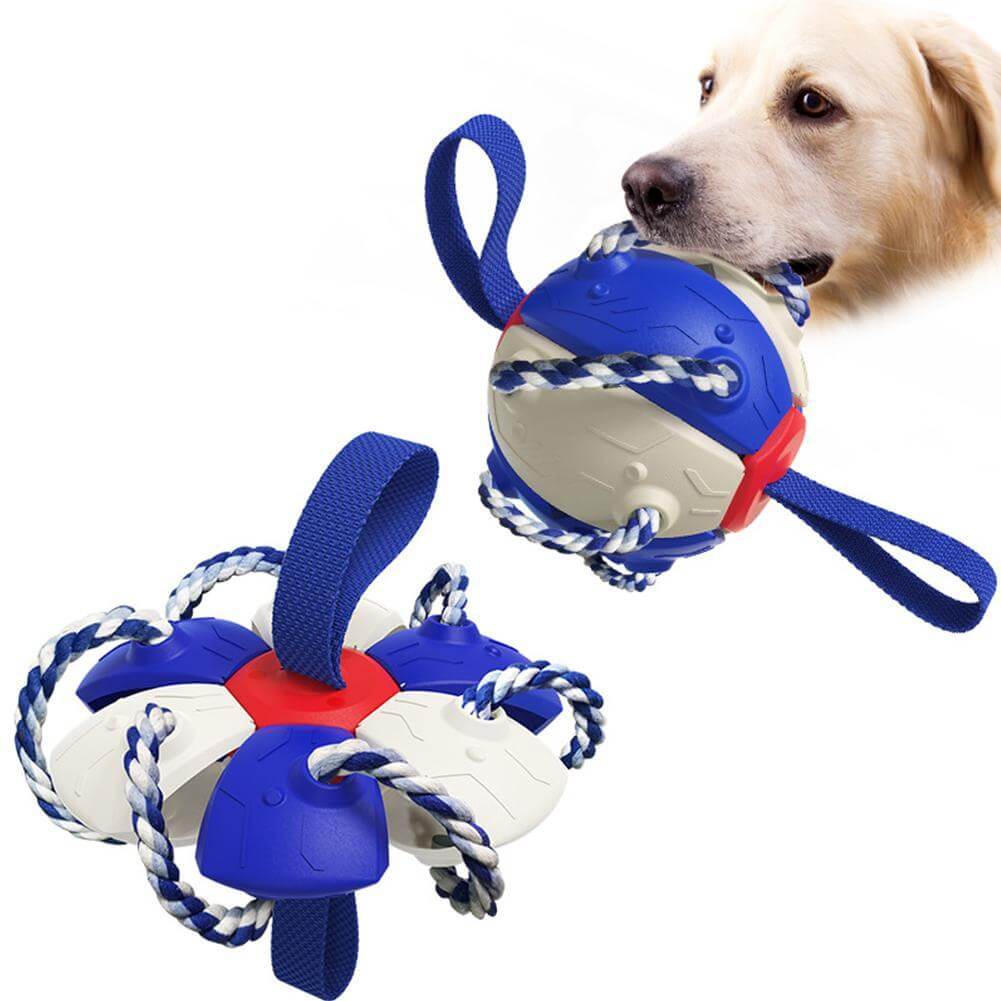 Interaktiv frisbee-ball hundeleke