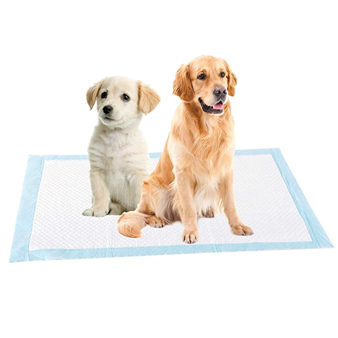 Hundeurin