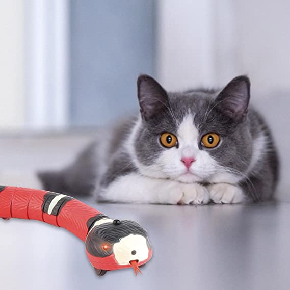 Slange Katteleke