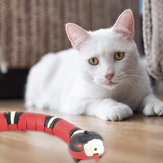 Slange Katteleke