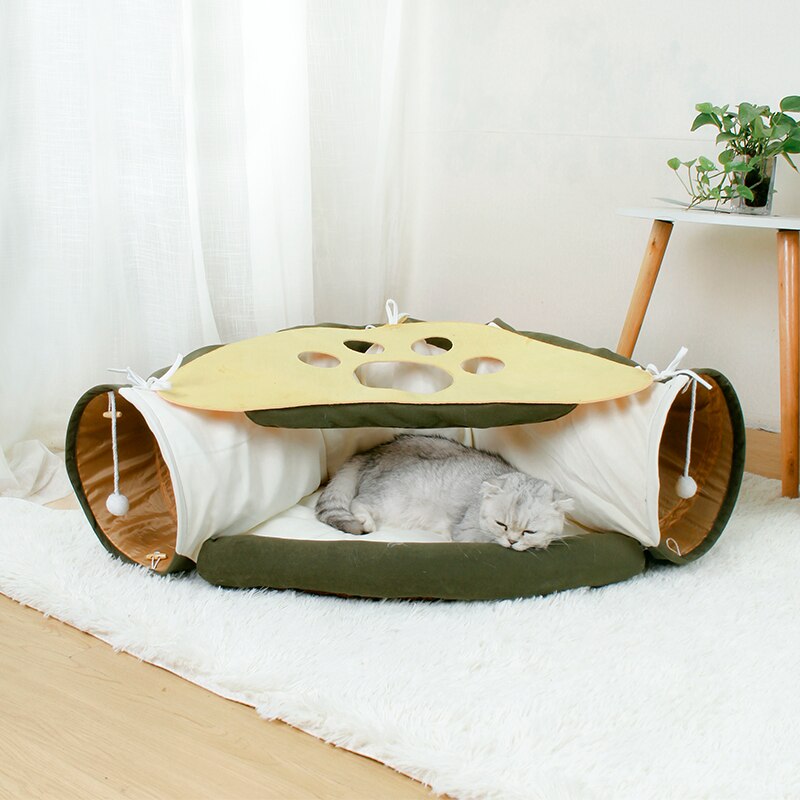 Kattgrotte