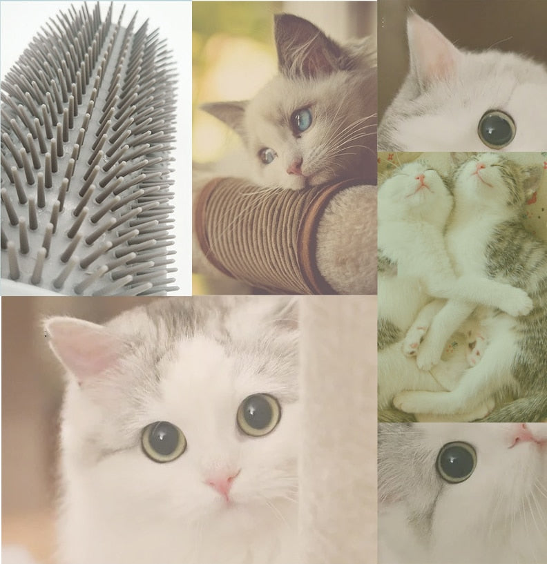 Kattenhoek Hundesalong