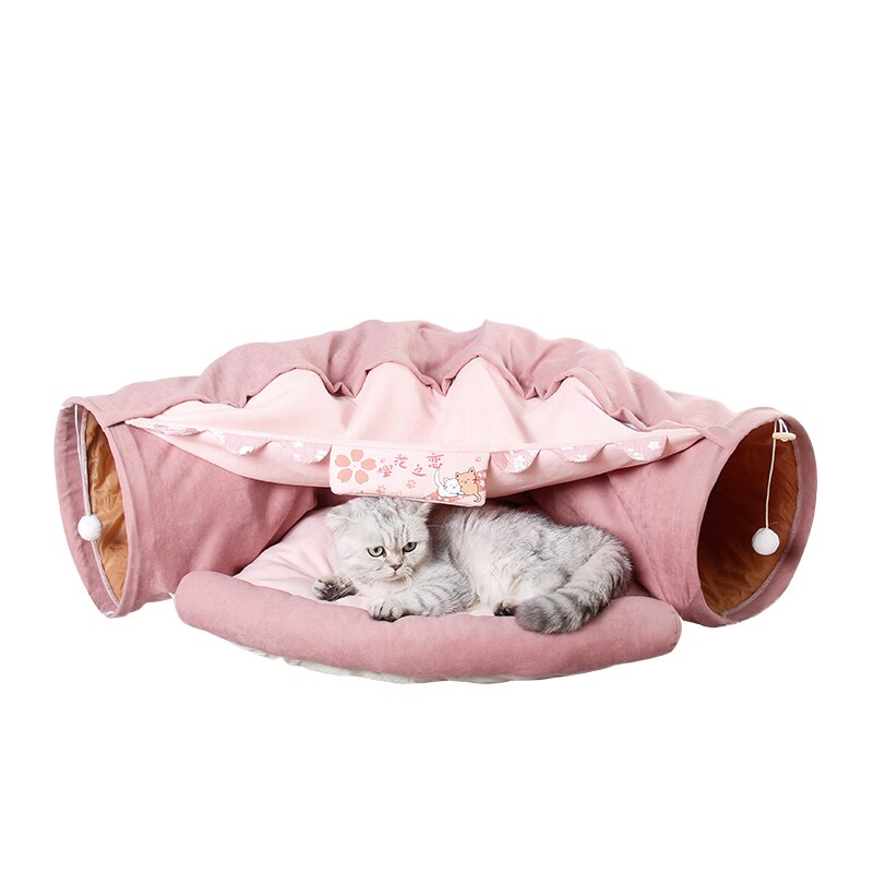 Kattgrotte