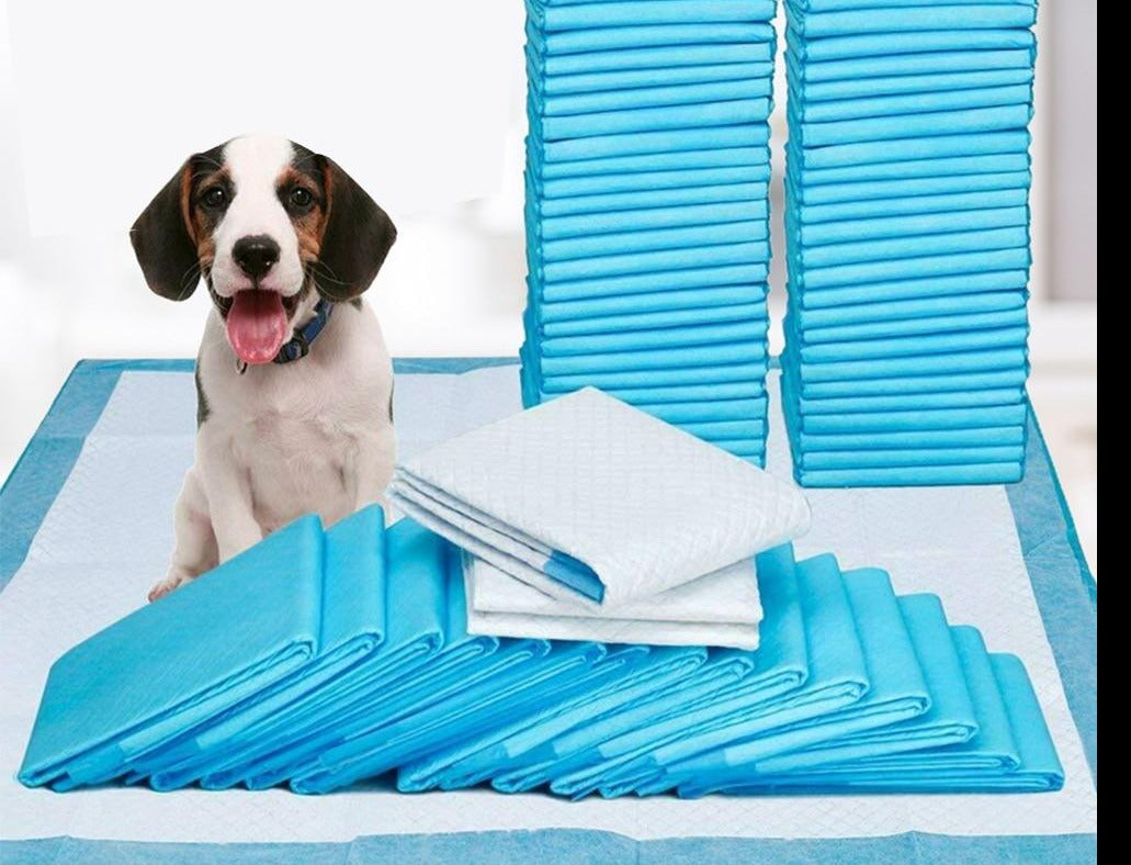 MagicPeePads – Det ultimate pottetreningsverktøyet for eieren og hunden!