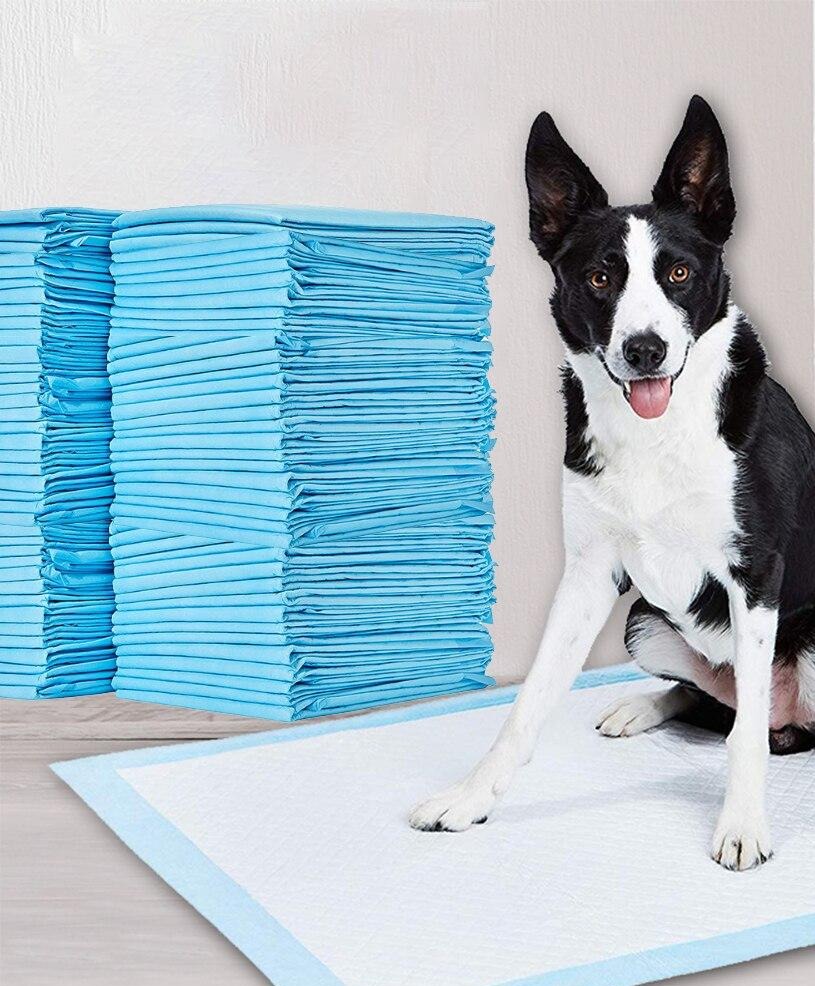 MagicPeePads – Det ultimate pottetreningsverktøyet for eieren og hunden!