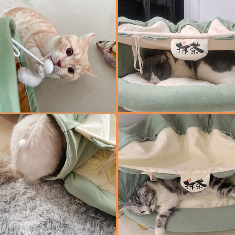 Kattgrotte