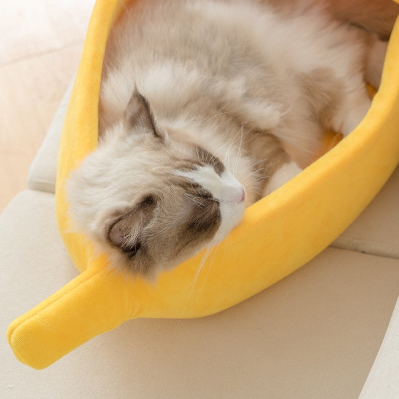 Morsom banan-katteseng
