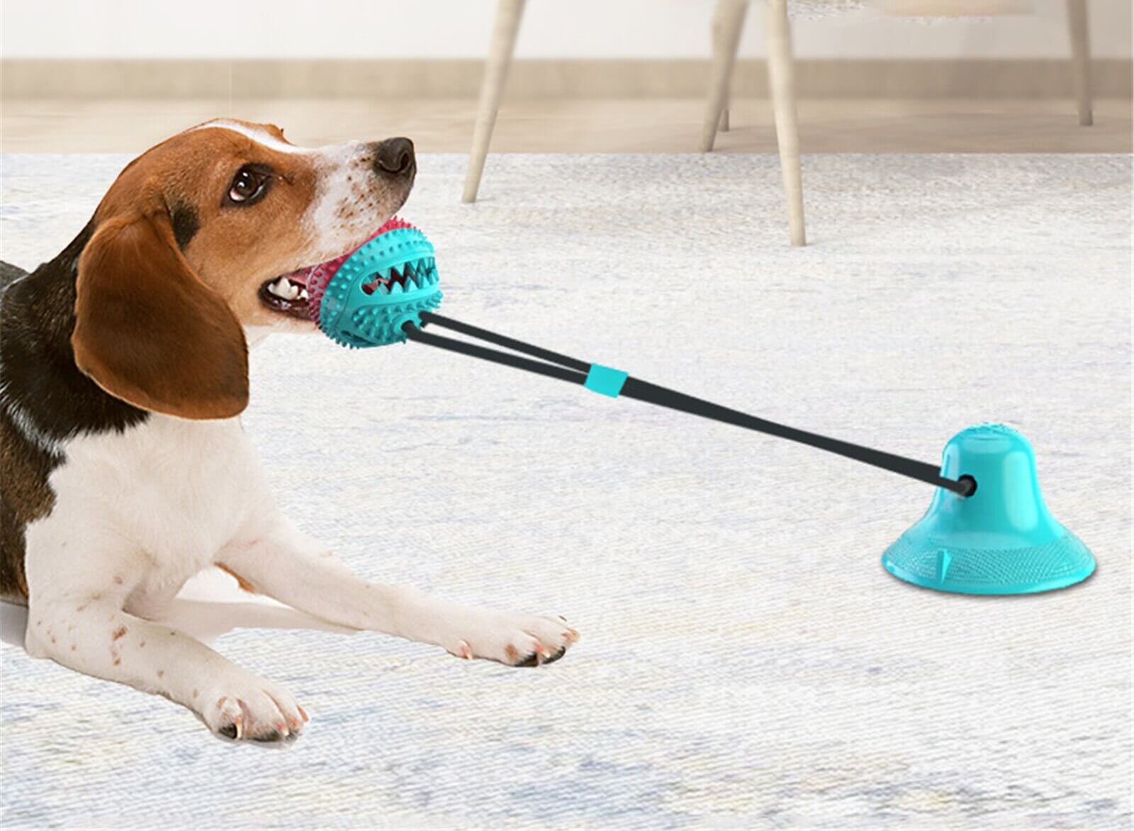 Interaktiv tyggeleke for hund
