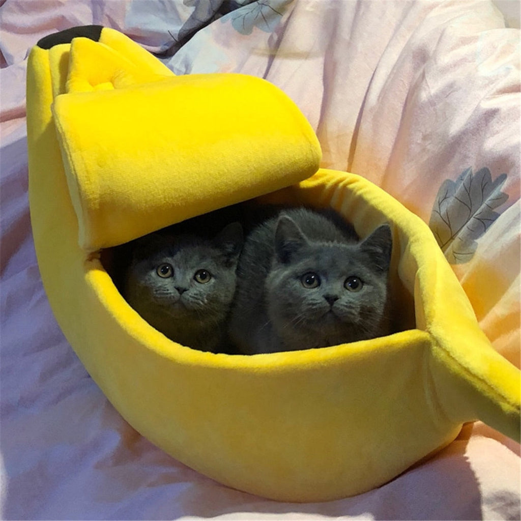 Bananashelter