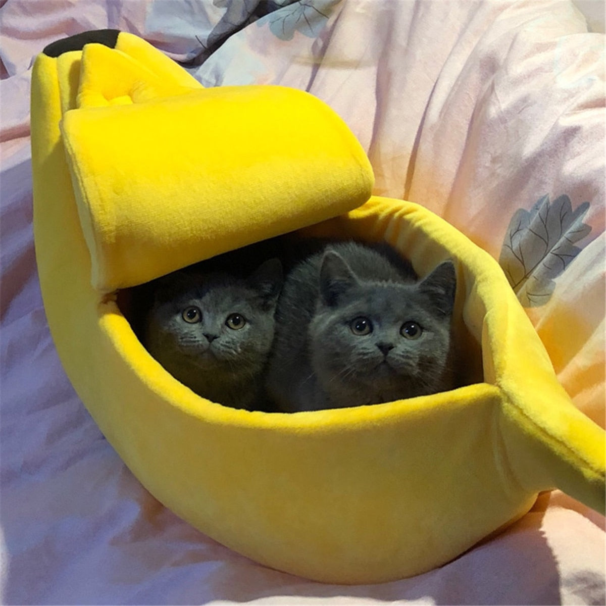 Bananashelter