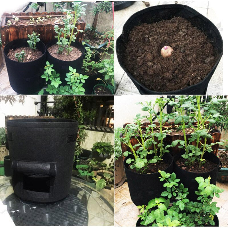 Plantevekstpose
