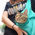 Komfortabelt reisebur for katt