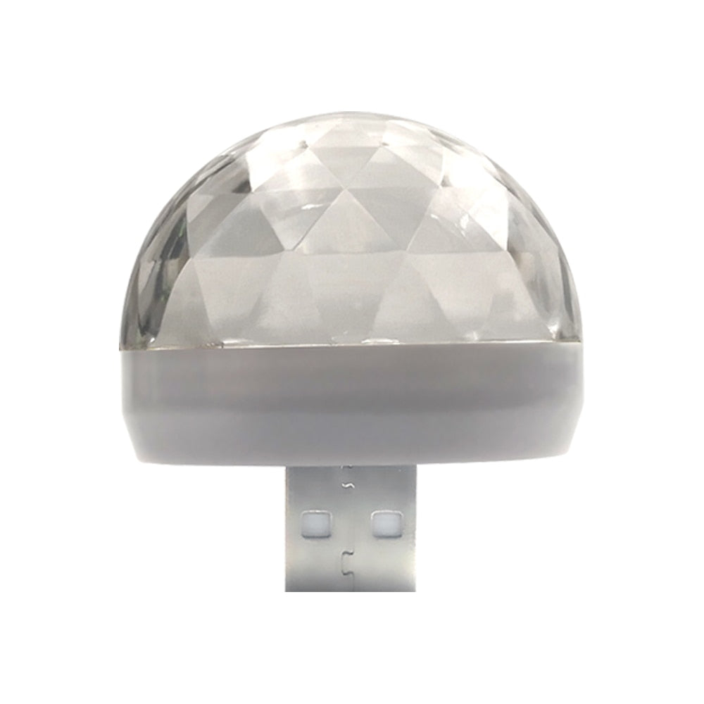 Sopp Discolys (USB)