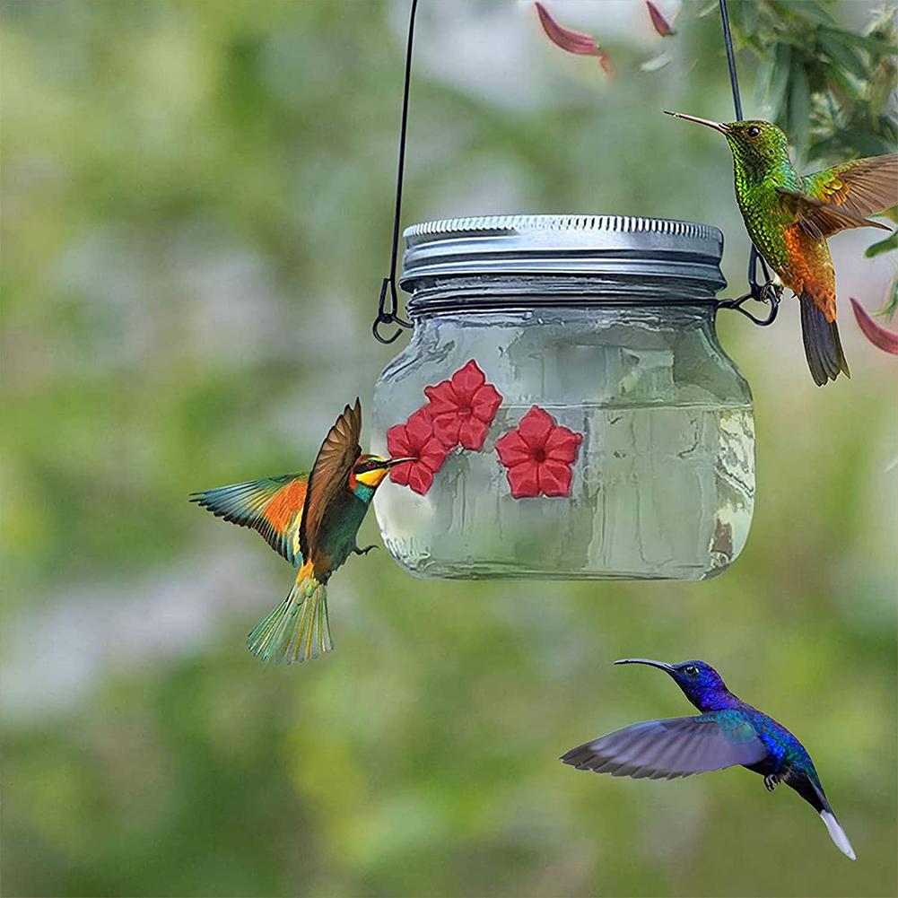 Kolibrimater med portalblomst