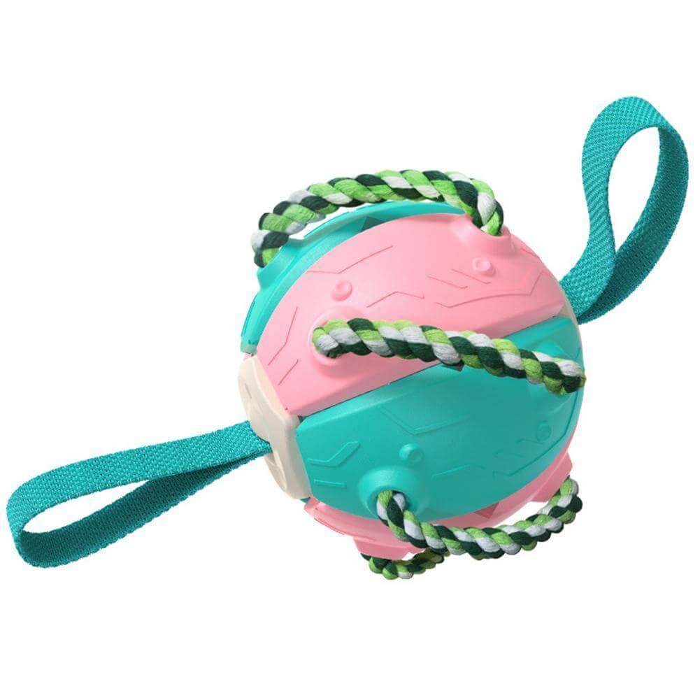 Interaktiv frisbee-ball hundeleke