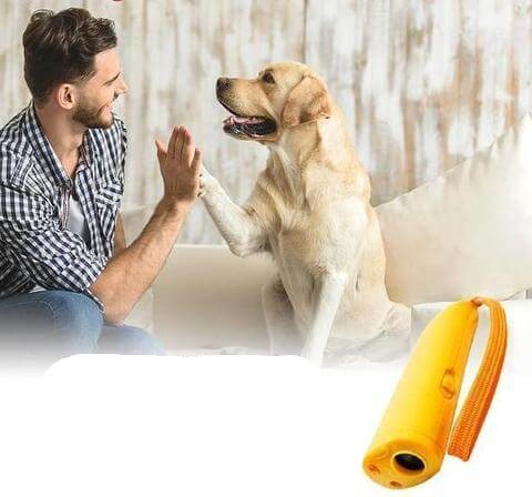 Antiglammeapparat til hund