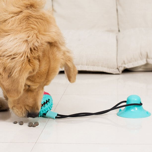 Interaktiv tyggeleke for hund