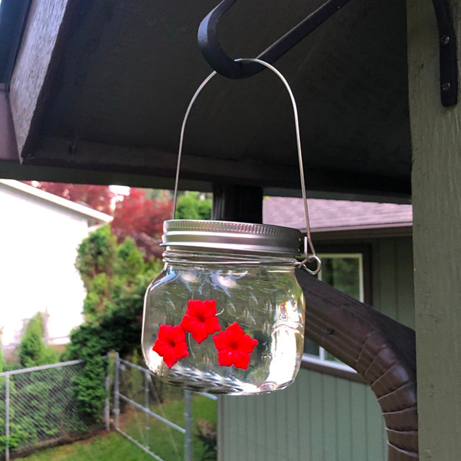 Kolibrimater med portalblomst