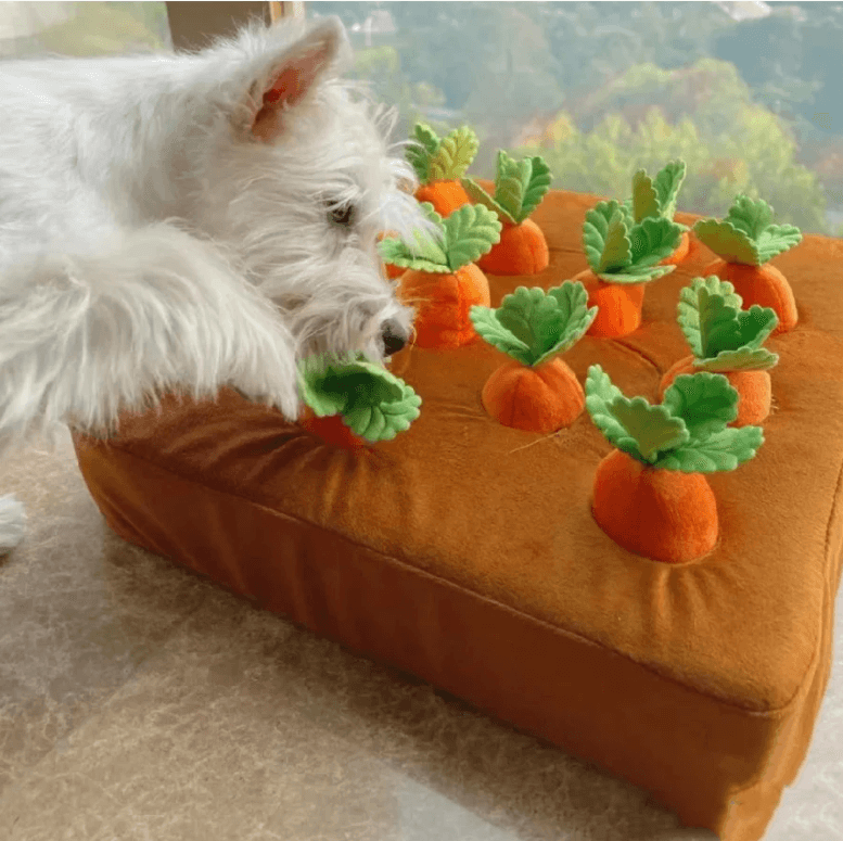Hund Plysjgulrot