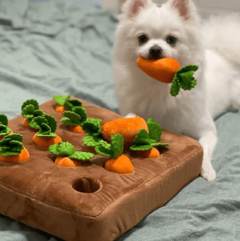 Hund Plysjgulrot