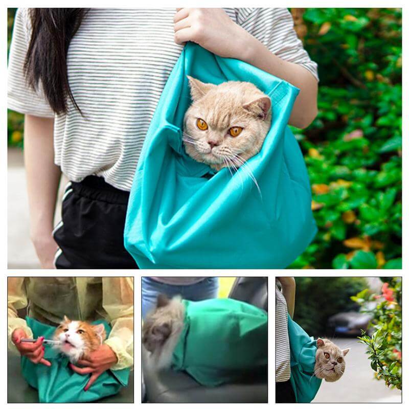 Komfortabelt reisebur for katt