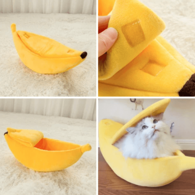 Morsom banan-katteseng