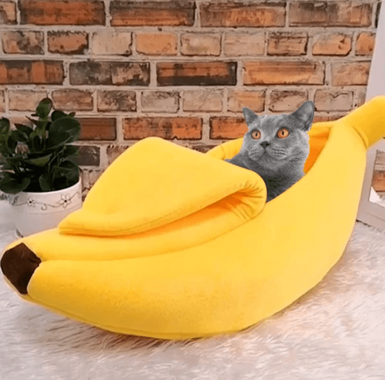 Morsom banan-katteseng