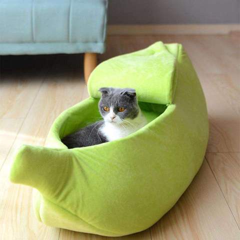 Morsom banan-katteseng