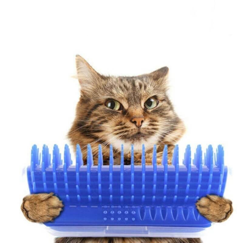 Kattenhoek Hundesalong