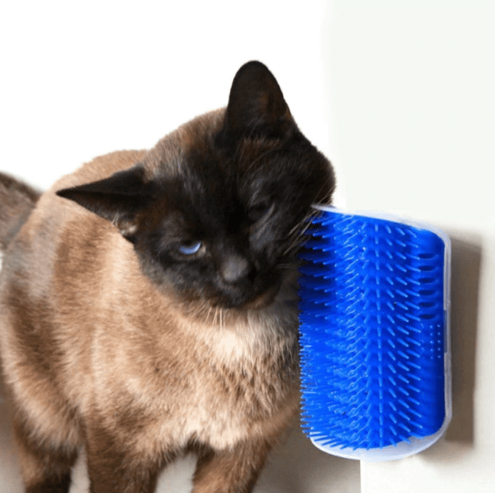 Kattenhoek Hundesalong