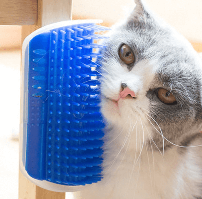 Kattenhoek Hundesalong