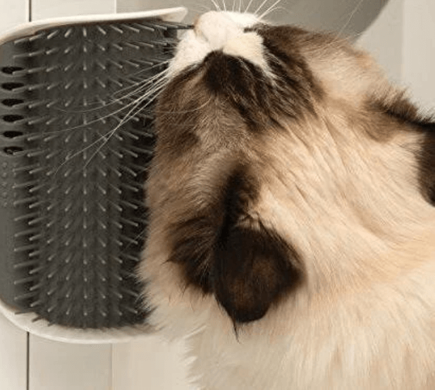 Kattenhoek Hundesalong