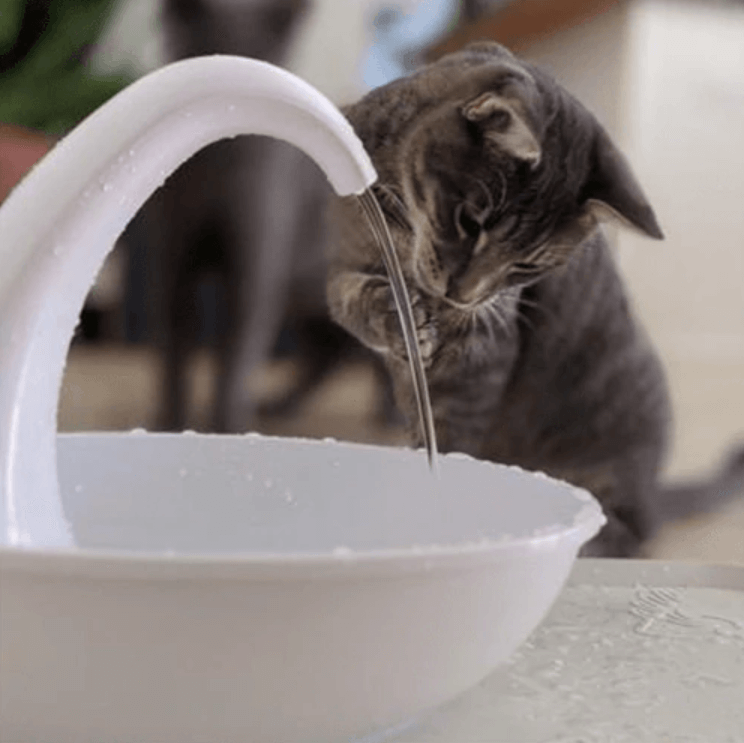 Premium automatisk drikkefontene til katter