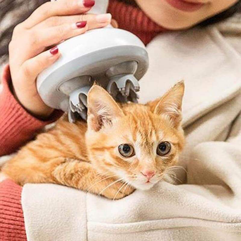 Elektrisk katt-hodemassasjeapparat