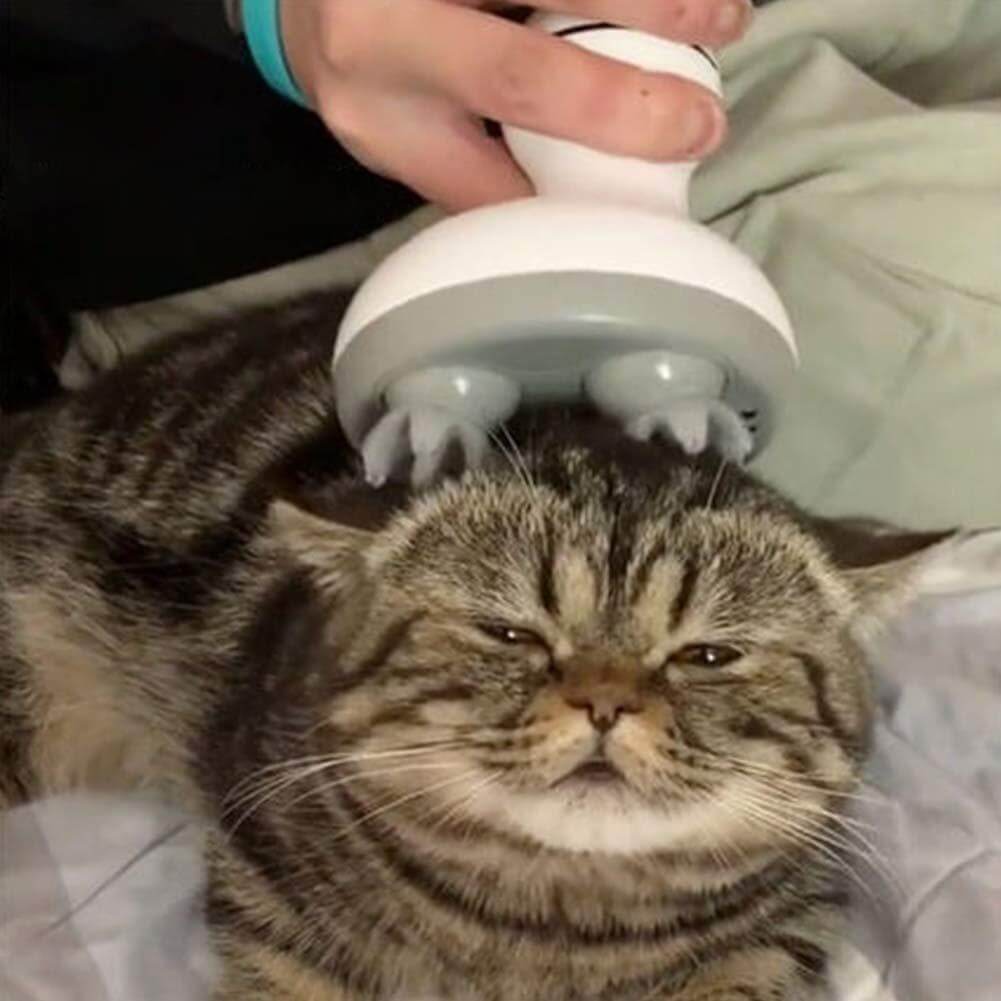 Elektrisk katt-hodemassasjeapparat