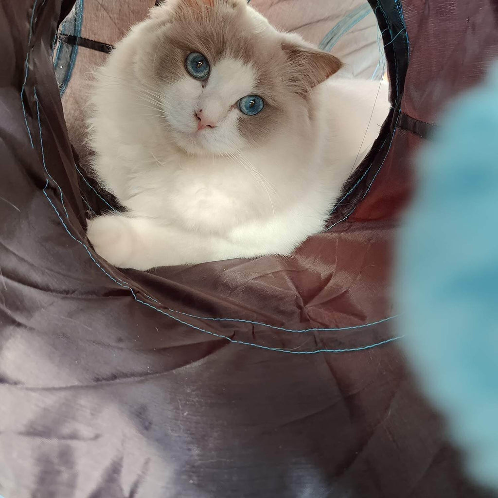 Sammenleggbar leketunnel for katter