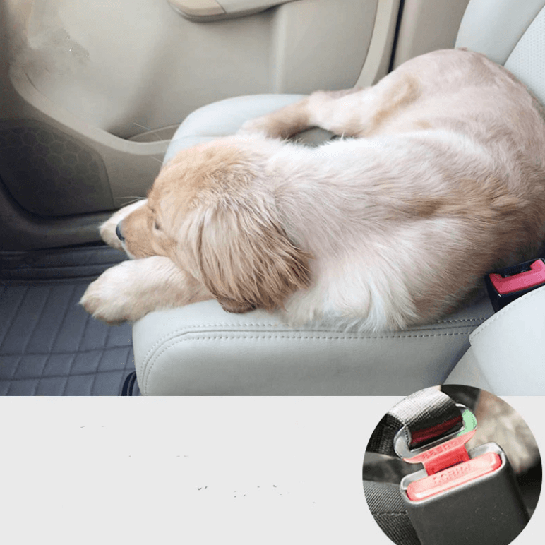 Bilbelte til hund