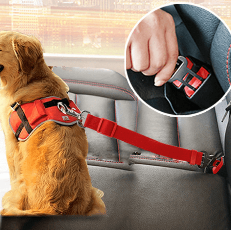 Bilbelte til hund