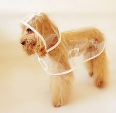 Vanntett gjennomsiktig regnfrakk til hund