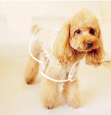Vanntett gjennomsiktig regnfrakk til hund