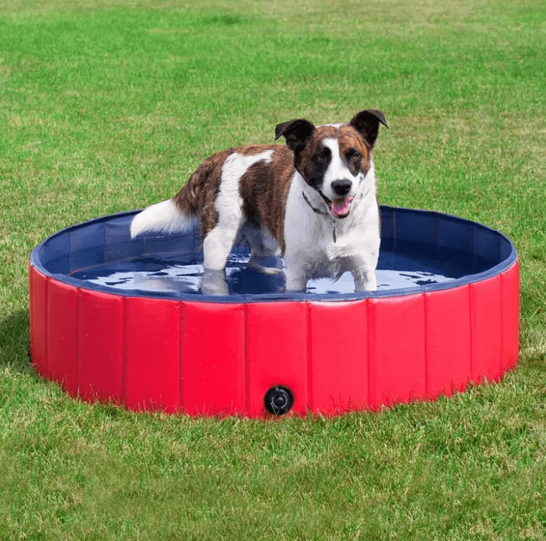 Bærbart hundebasseng
