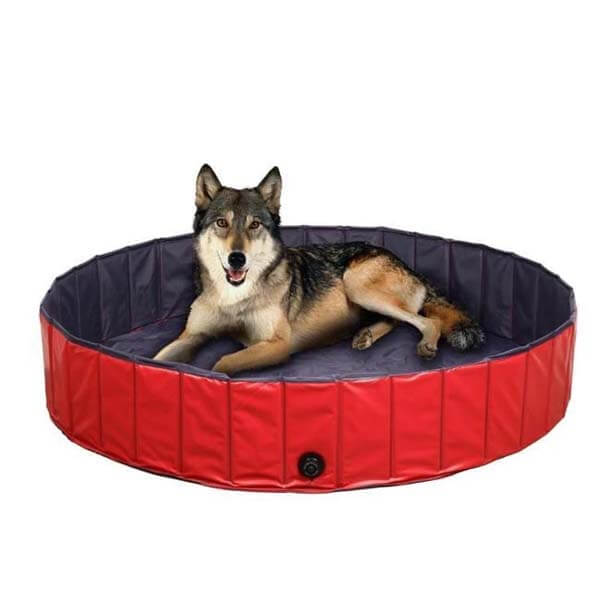 Bærbart hundebasseng