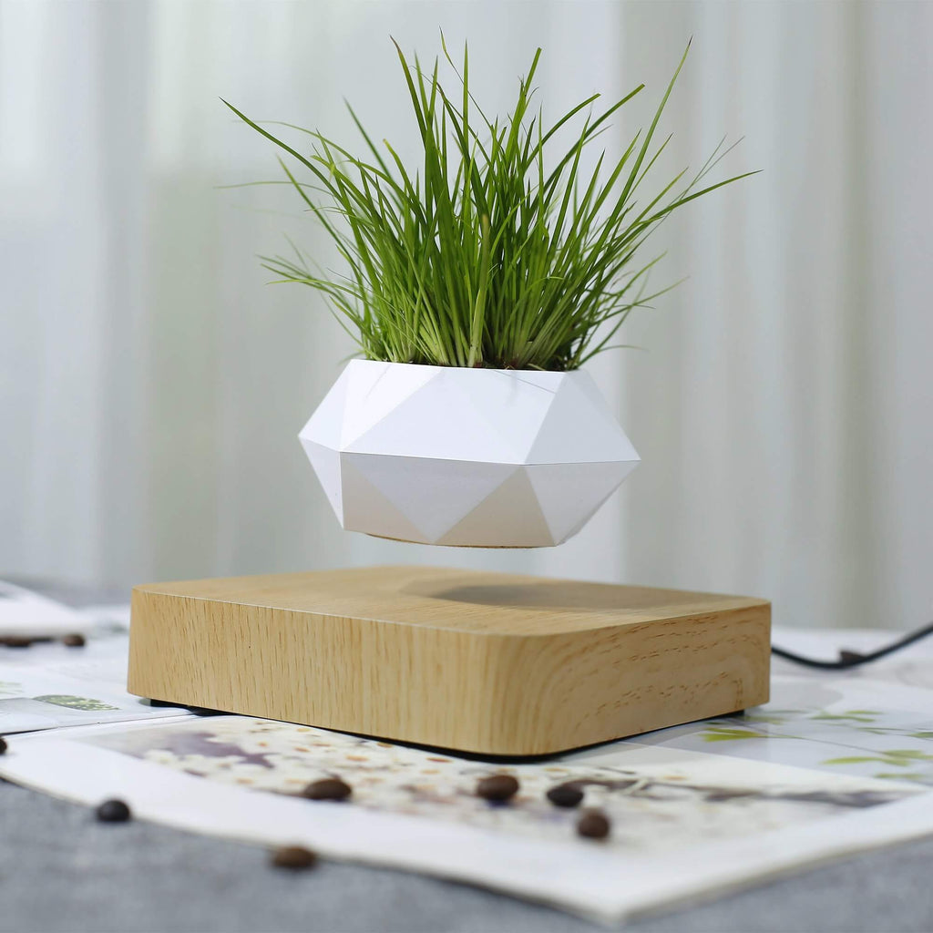 Svevende Air Bonsai-potte