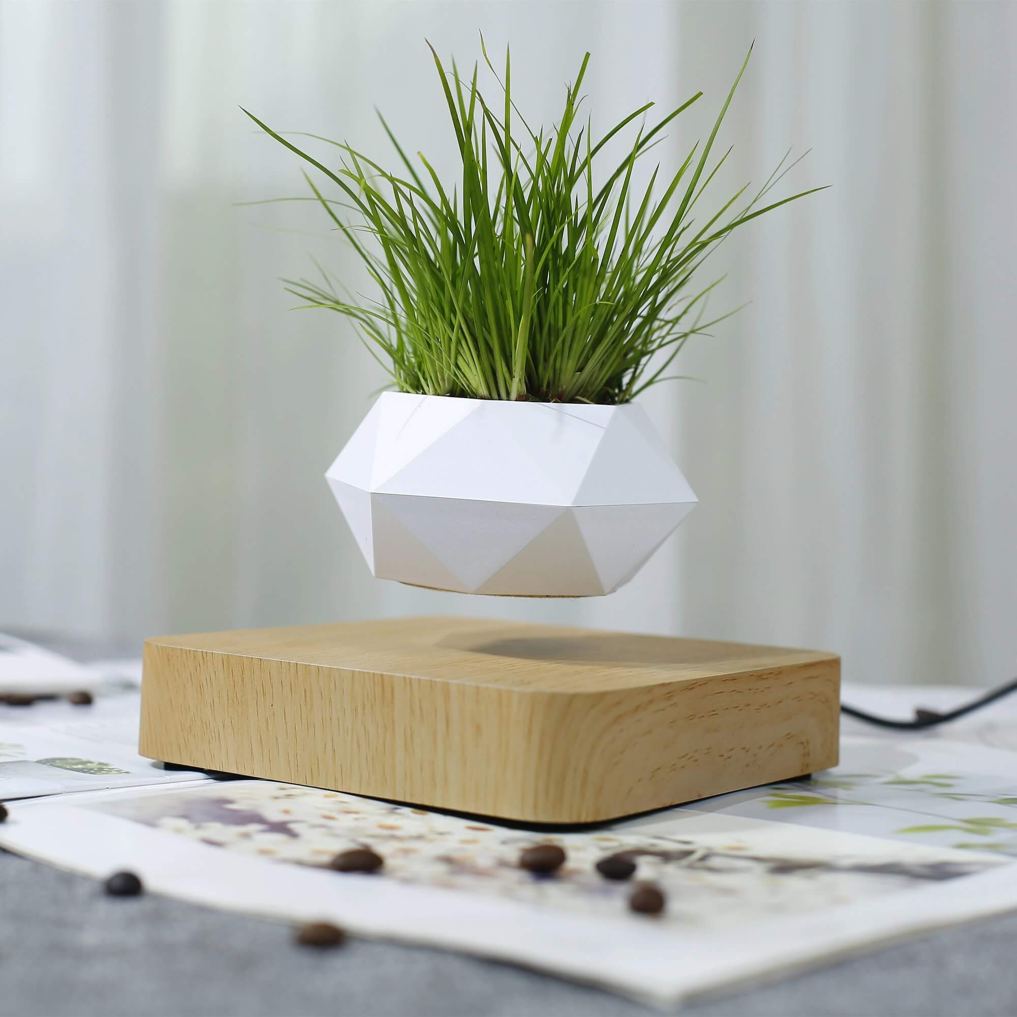 Svevende Air Bonsai-potte